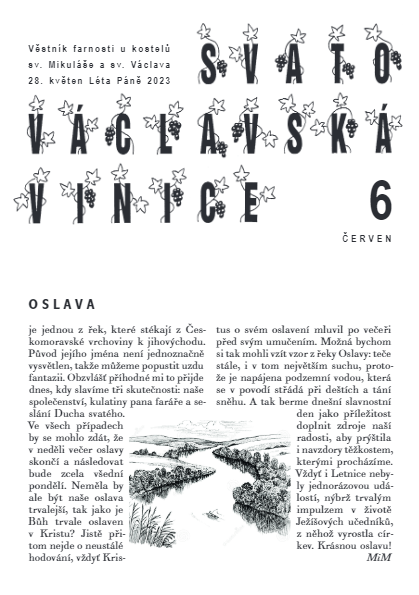 Vinice - červen 2023