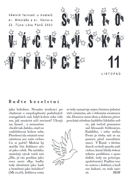 Vinice - listopad 2023
