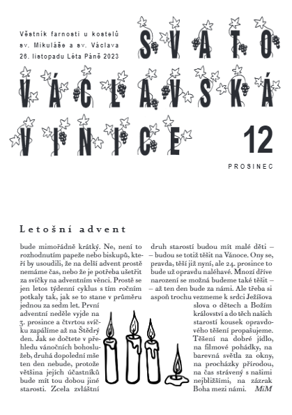 Vinice - prosinec 2023