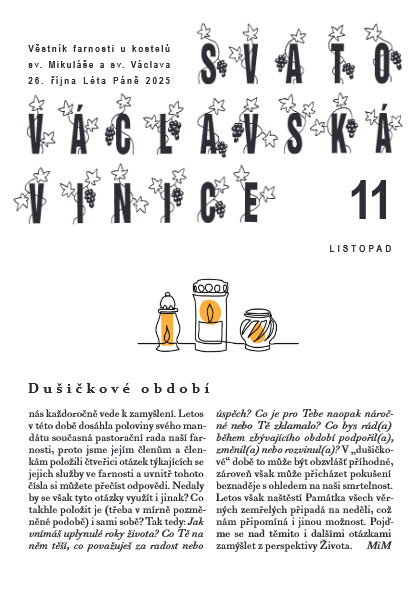 vinice_listopad 2025